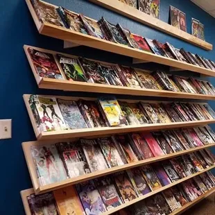 COMICS! New ones line the walls and collector ones in the center.