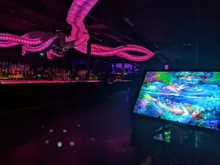 Discopussy