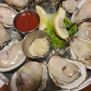Oysters