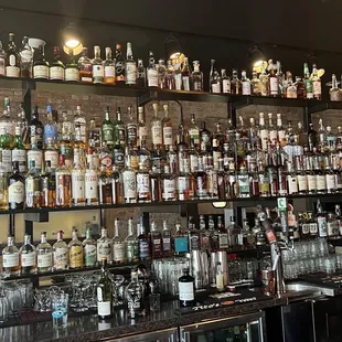 shelves full of liquor bottles