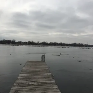 Besides the geese, there are a bunch of creeps up here.