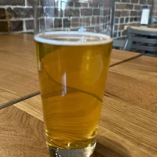 #4 Tang Glider- Tropics