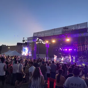 a crowd of people at a concert