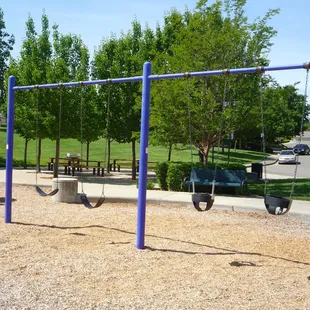 Swings at Levy Park