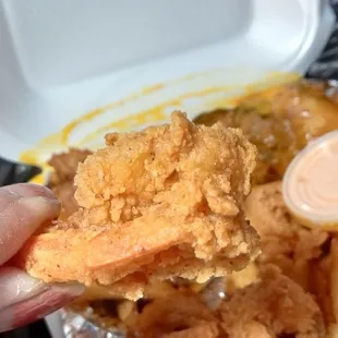 a hand holding a piece of fried chicken