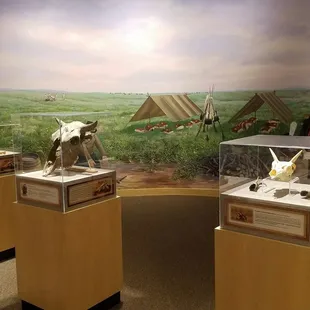 Some natural history as well