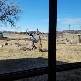Pretty view from inside or outside
