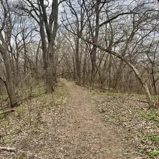 Hiking trail