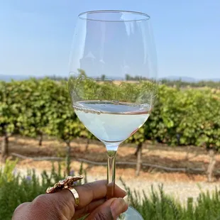 Pinot Gris was lovely!