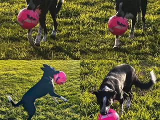 Lichtenberger South Park