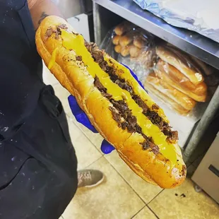 a person holding a hot dog