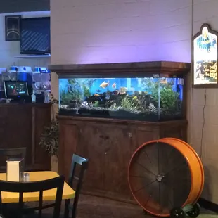 a fish tank