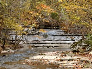 Lower Howard's Creek Nature Preserve