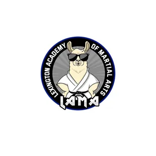 Lexington's fnest martial arts academy!