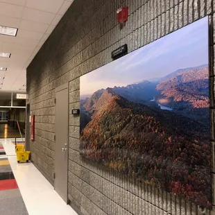 Kentucky themed photography