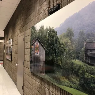 Kentucky themed photography