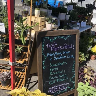 Tara&apos;s plants