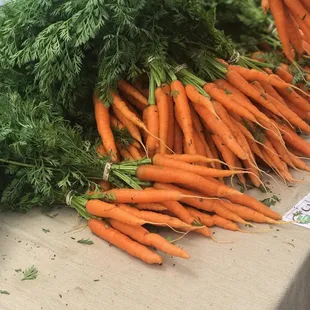Carrots