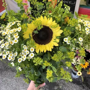 Flowers from Bellaire Blooms