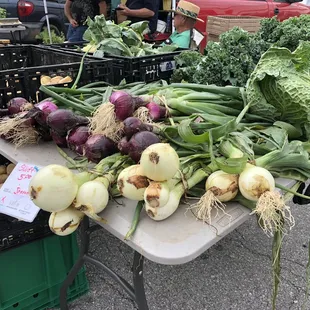 Huge onions