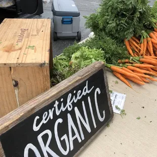 The prettiest and brightest carrots