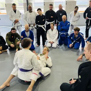 BJJ seminar