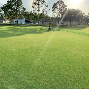 Nice greens
