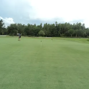 putting green