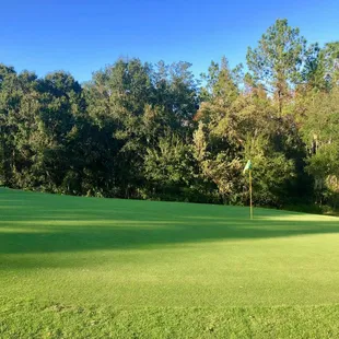 The greens