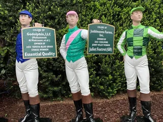 Thoroughbred Heritage Horse Farm Tours