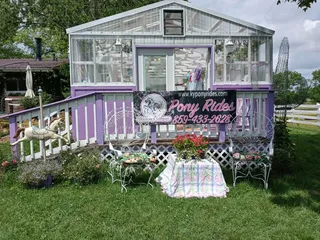 Unicorns & Lollipops Pony Rides