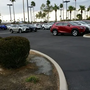 I can't warm up to the look of these cars. Not attractive.