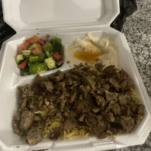 Gyro Plate