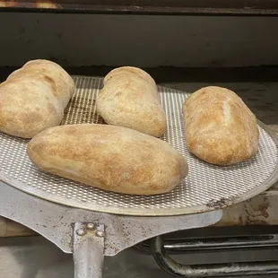 Puccia bred for sandwich