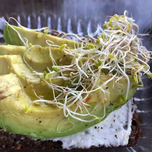 avocado and sprouts