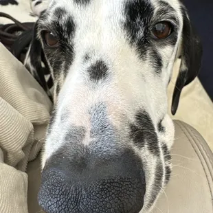 Plus this service man is always respected and welcome.