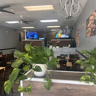 sushi and sashimi, interior