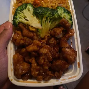 General Tso's Chicken Combo Platter