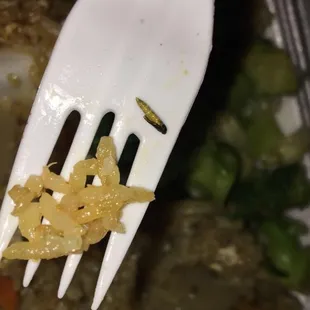 Worm found in rice