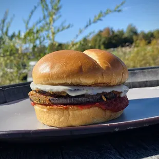 a cheeseburger on a plate