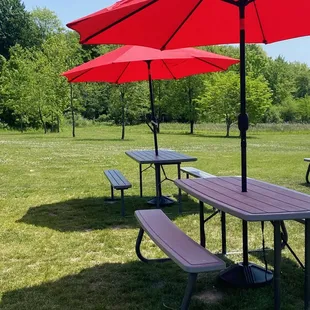 Umbrella picnic tables. They are far enough from the outdoor stage for to enjoy the music while also being able to talk with friends.