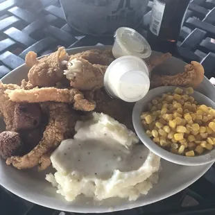LARGE CATFISH