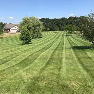 a freshly mowed lawn