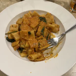 Rigatoni Vodka
