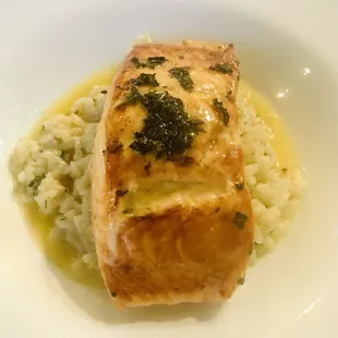 Salmon Nicola