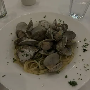 Linguini White Clam Sauce