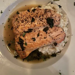 Salmon Nicola