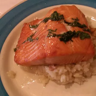 Salmon Nicola