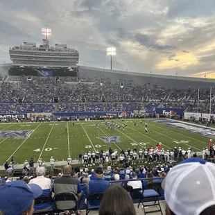 My first tigers game