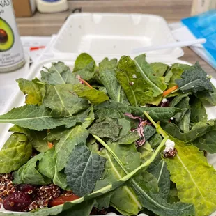 Plain kale no dressing. Who would eat that for lunch. $16 down the drain.